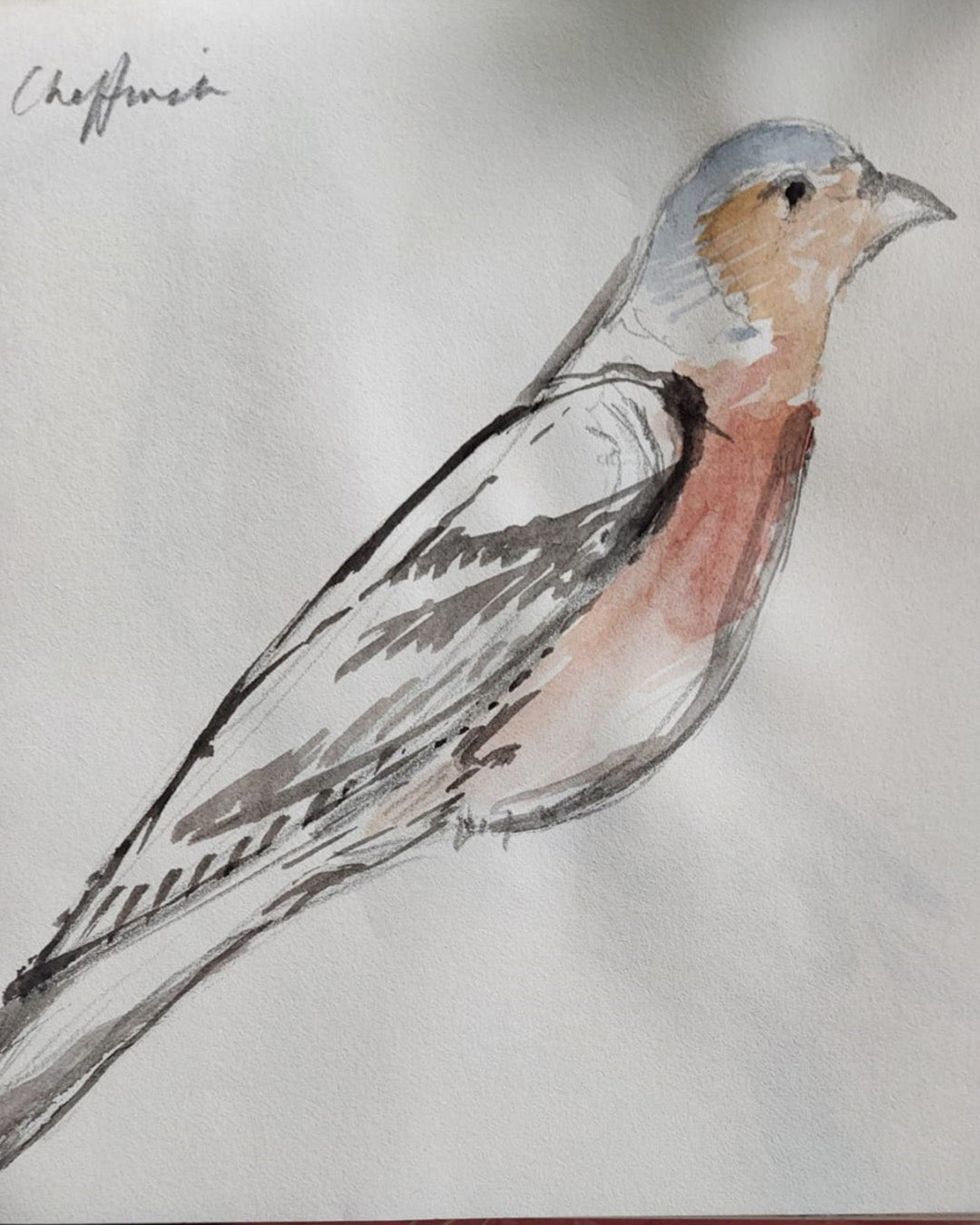Spring Bird Series - Stained Glass Bird 2