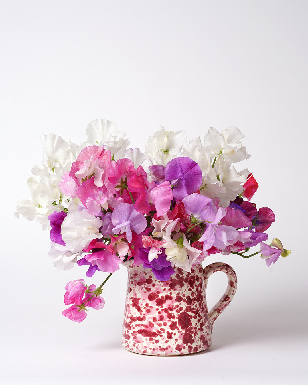 Milk Jug, 5 Colourways
