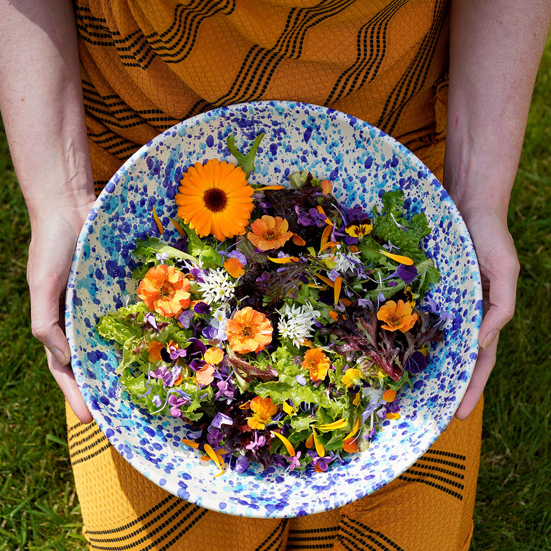 Large Salad Bowl - 4 Colourways