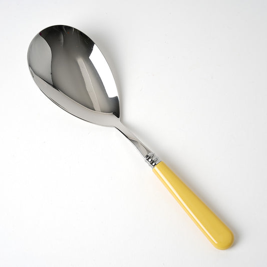 Large Serving Spoon - 10 Colours